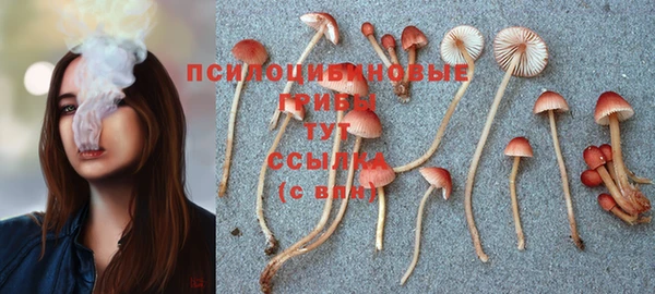 ГАЛЛЮЦИНОГЕННЫЕ ГРИБЫ Алексеевка