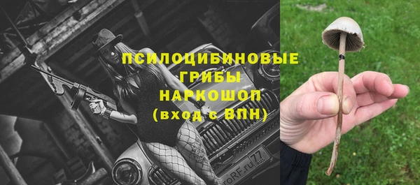 индика Абинск